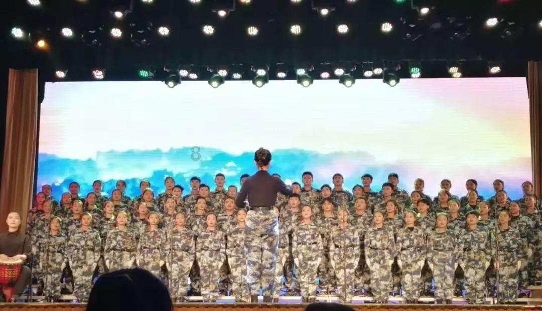 小猪仔要回家