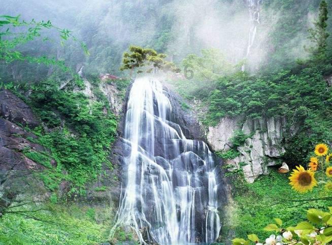 石油骚动